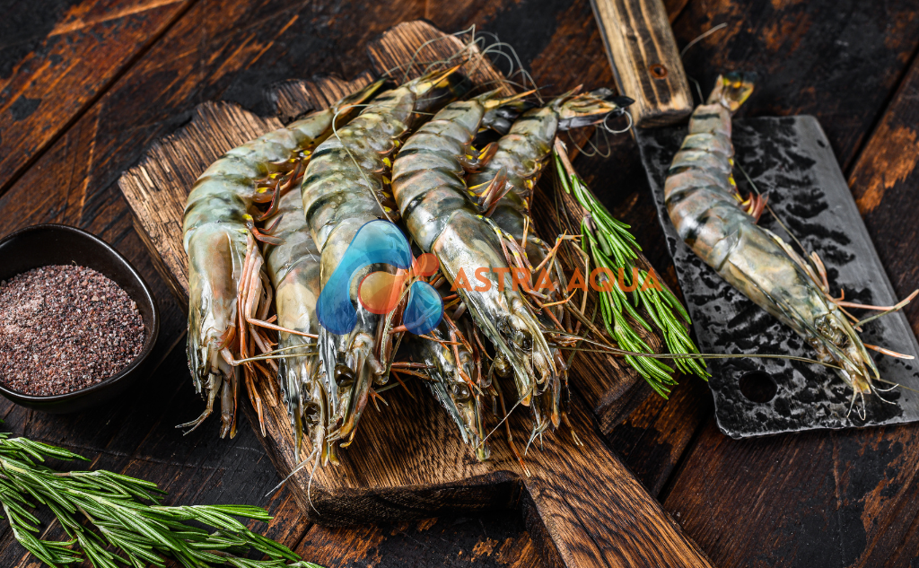 Tôm Sú Nguyên Con 