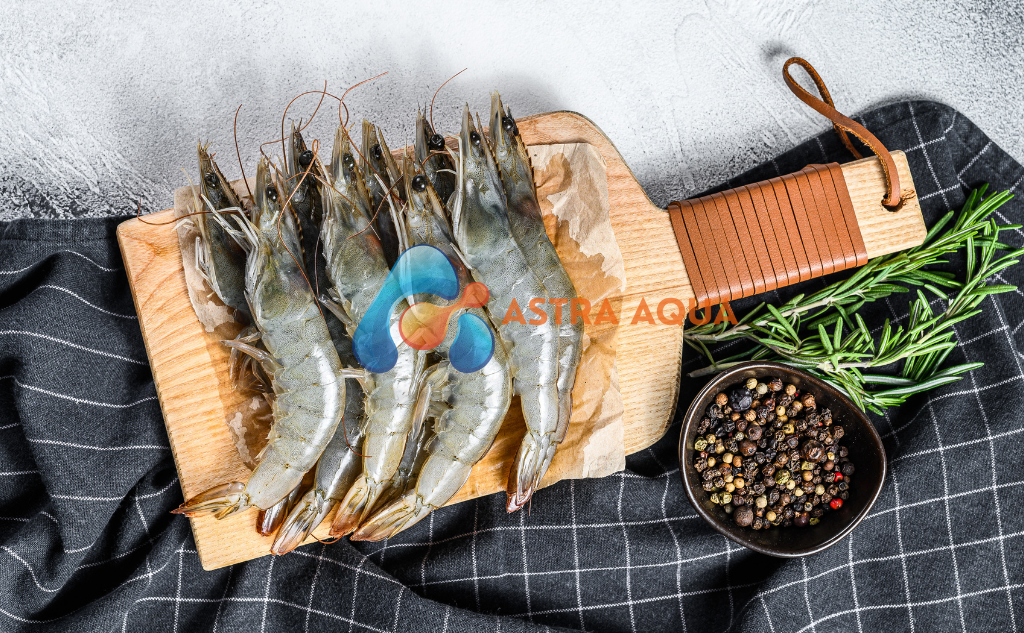 Tôm Sú Nguyên Con 