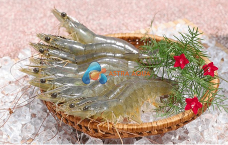 Tôm thẻ chân trắng nguyên con 1