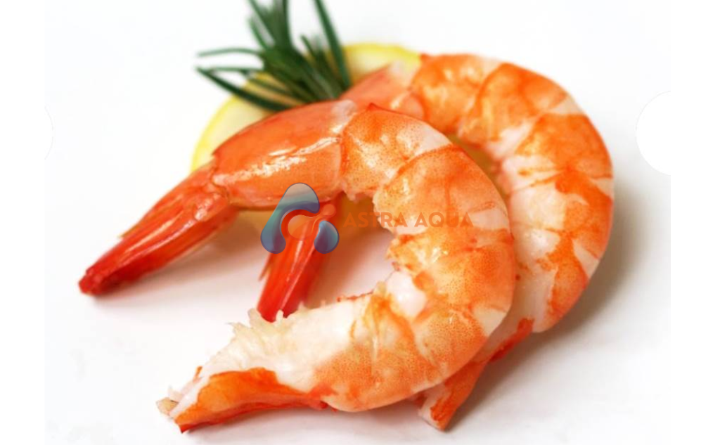 Tôm sú lột vỏ & chế biến 