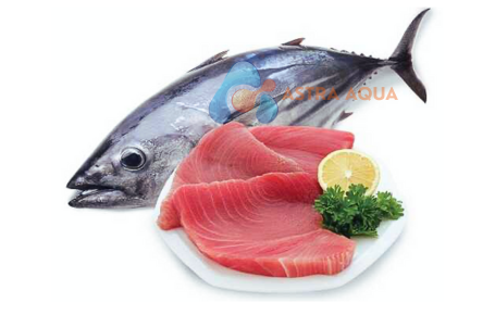 Cá Ngừ Nguyên Con