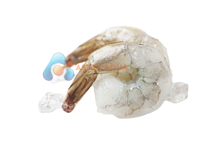 Tôm Sú lột vỏ, còn đuôi