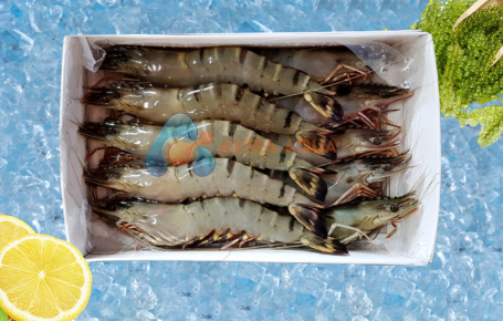 Tôm sú nguyên con HOSO