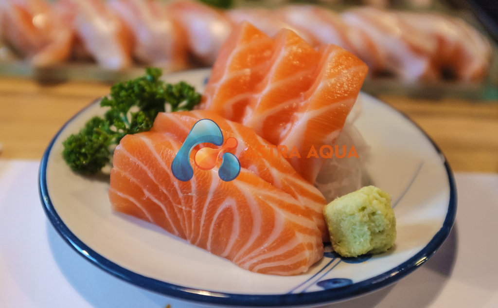 cá hồi cắt lát sashimi 