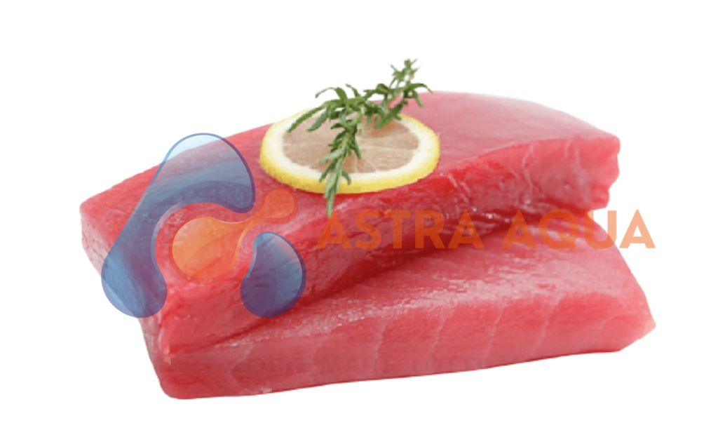 Cá Ngừ Đại Dương Saku