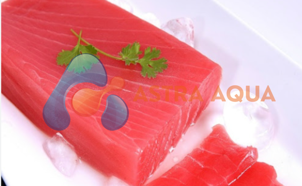 Cá Ngừ Đại Dương Saku