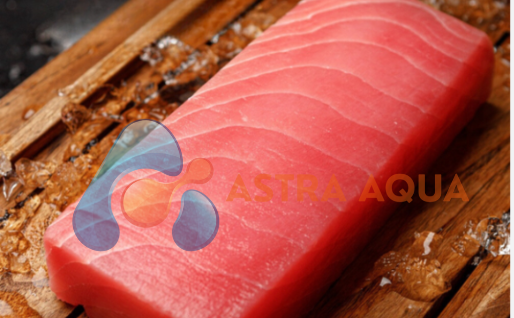 Cá Ngừ Đại Dương Saku