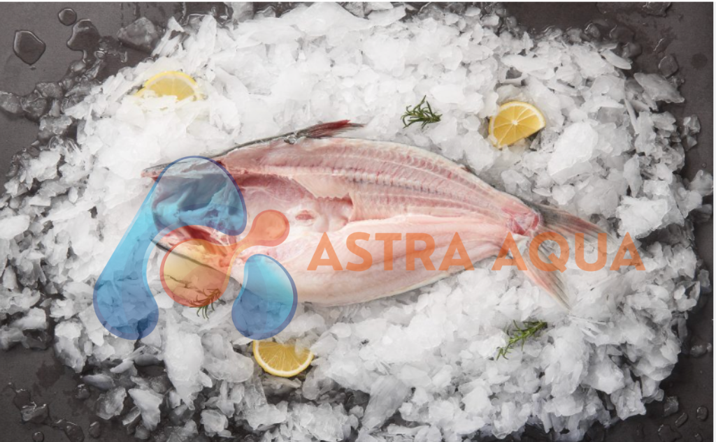 Cá Tra Xẻ Bướm