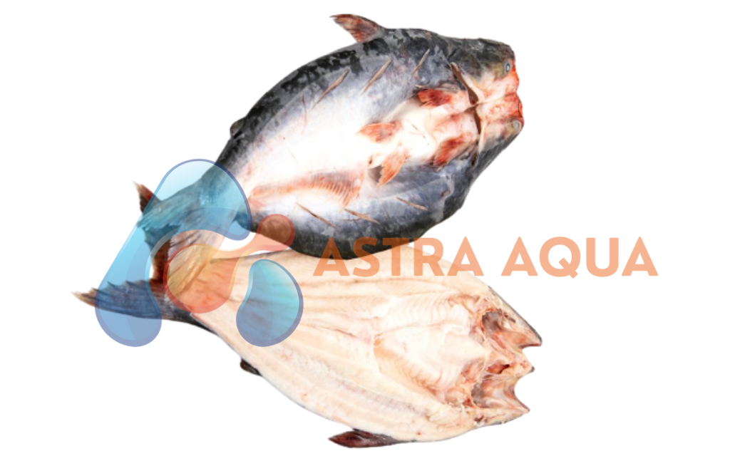  Cá Tra Cắt Khúc, Xẻ Bướm