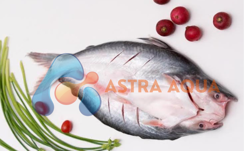 Cá Tra Xẻ Bướm