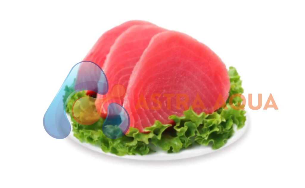 Cá Ngừ Đại Dương - Steak 