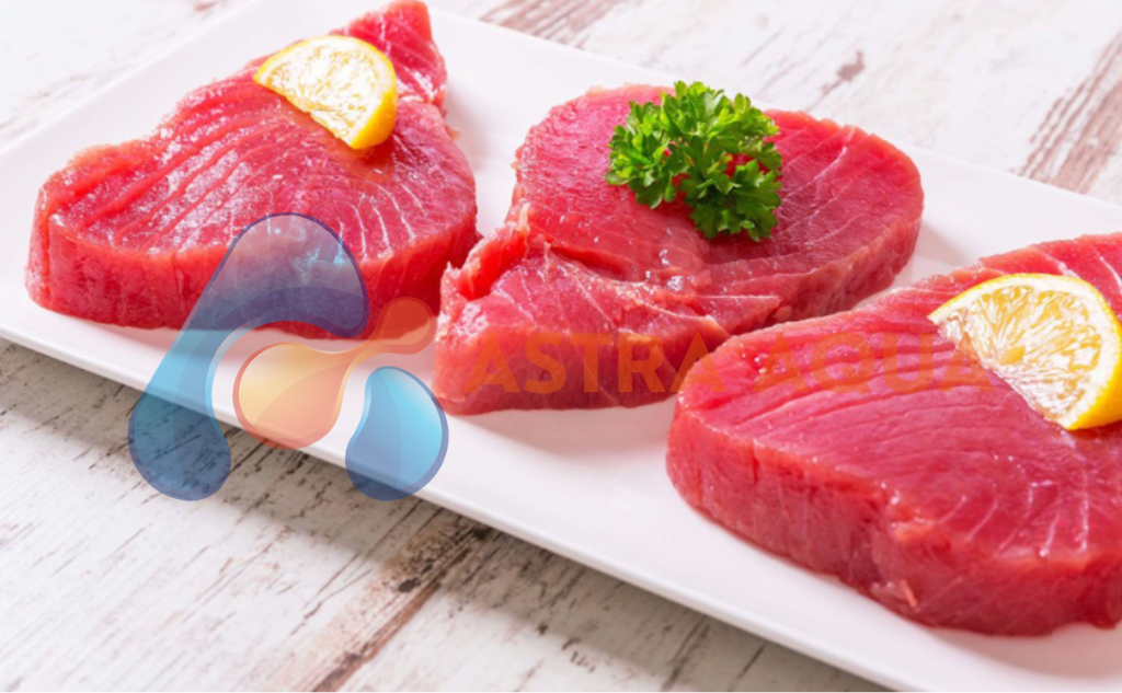 Cá Ngừ Đại Dương - Steak 