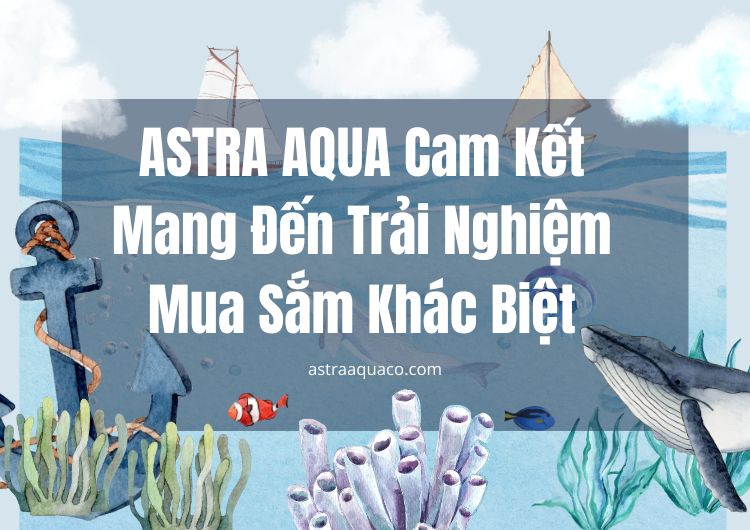 ASTRA AQUA Cam Kết Mang Đến Trải Nghiệm Mua Sắm Khác Biệt tại Astra Aqua