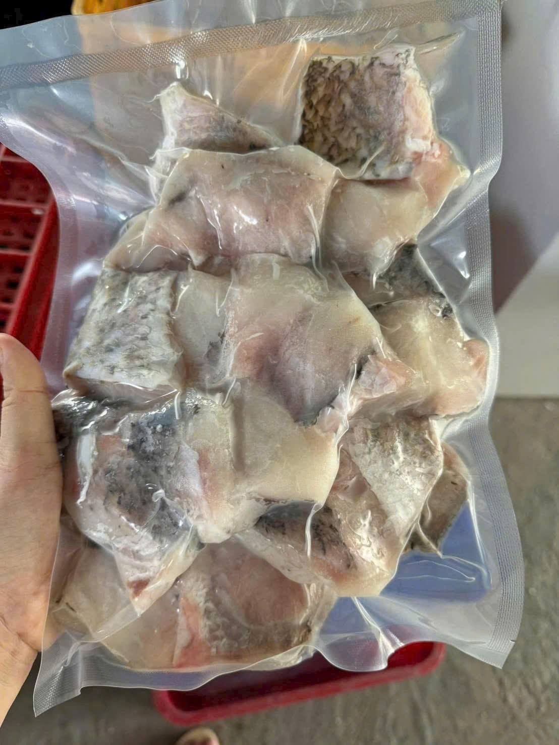 Báo giá xuất khẩu cá chẽm sang Trung Quốc nhanh chóng