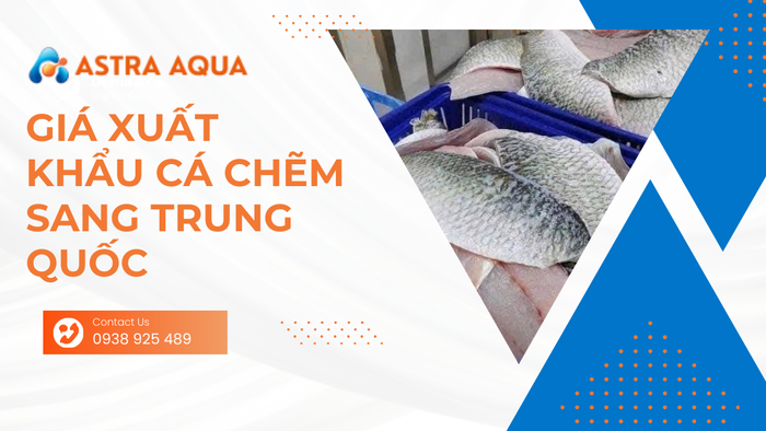 Cập nhật giá xuất khẩu cá chẽm sang Trung Quốc mới nhất