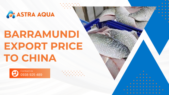 Update latest Barramundi export price to China