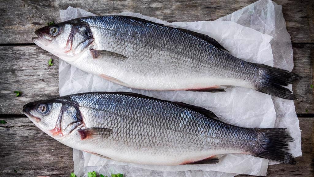 Các dòng sản phẩm cá chẽm cắt khúc tiện lợi xuất khẩu sang Úc