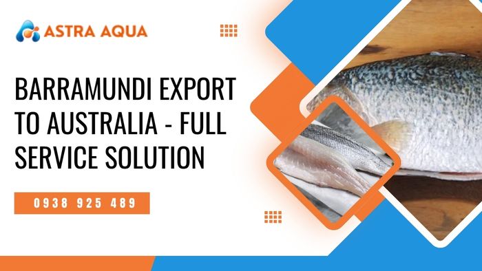 Barramundi Export to Australia - Quality Full Service Solution