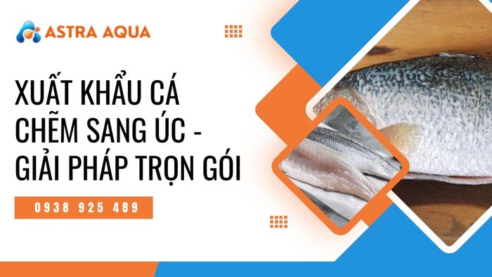Xuất khẩu cá chẽm sang Úc - Giải pháp trọn gói chất lượng