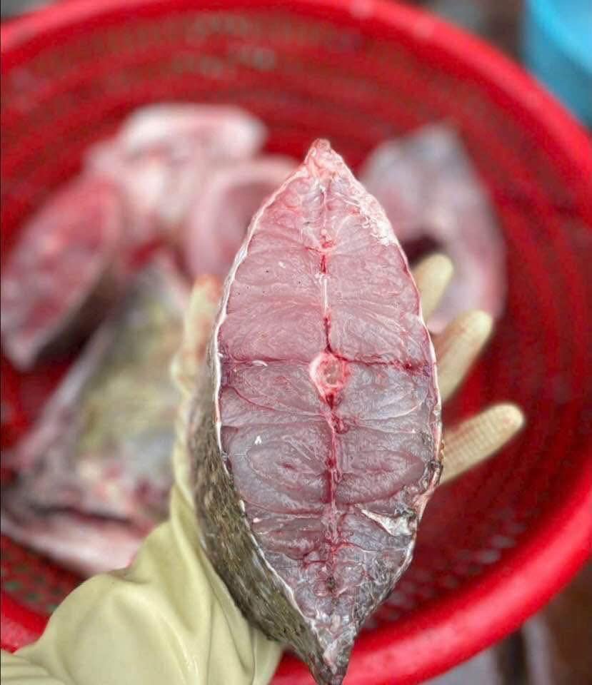 Logistics chuyên nghiệp từ nhà xuất khẩu cá chẽm sang Trung Quốc