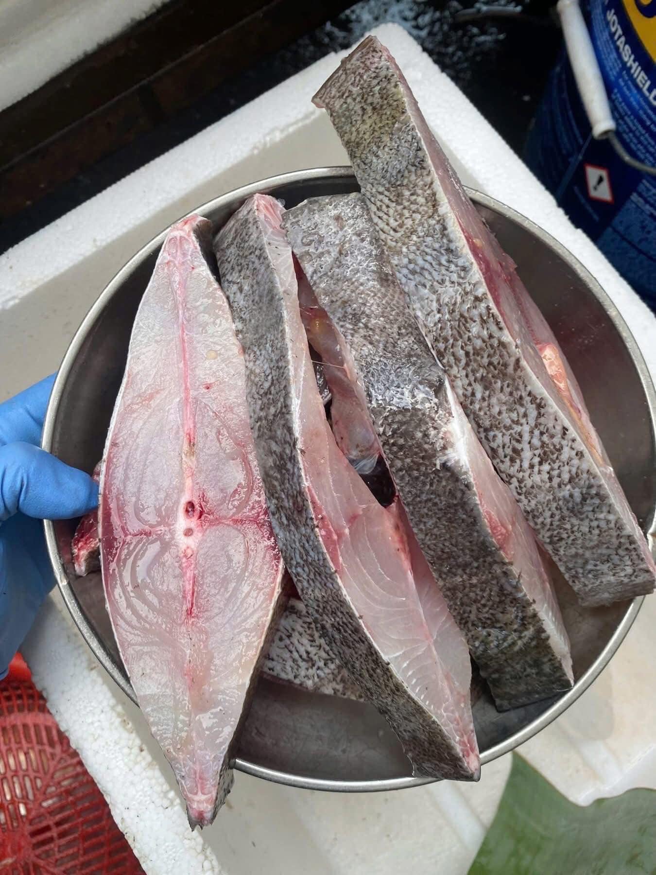 Các dòng sản phẩm từ nhà xuất khẩu cá chẽm sang Trung Quốc