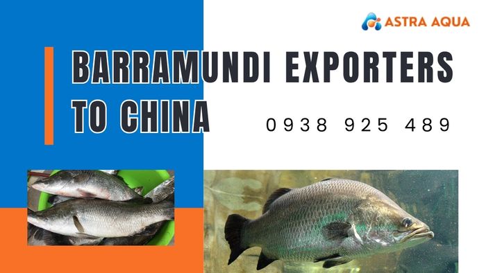 Reputable Barramundi Exporters to China like Astra Aqua