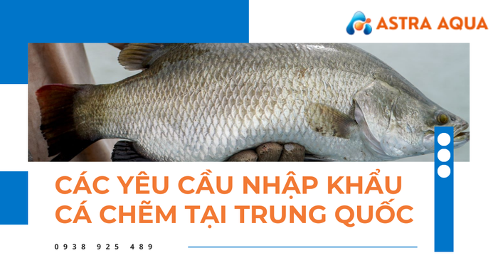 Yêu cầu nhập khẩu cá chẽm tại Trung Quốc từ Astra Aqua
