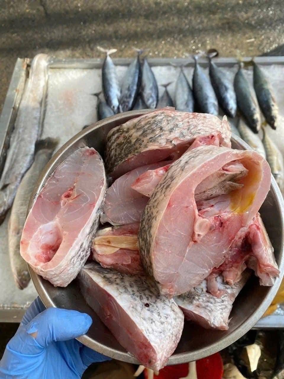 Các loại cá chẽm cho thị trường Trung Quốc được ưa chuộng nhất