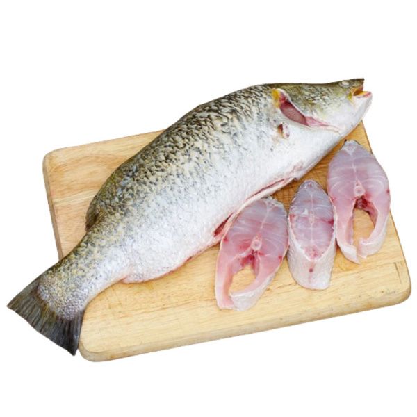 Các định dạng cá chẽm cắt khúc tiện lợi xuất khẩu