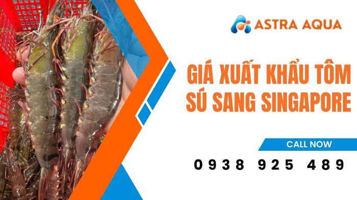Báo giá xuất khẩu tôm sú sang Singapore từ Astra Aqua