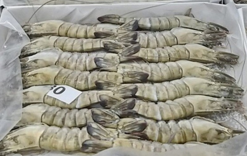 Xuất khẩu tôm sú sang Singapore