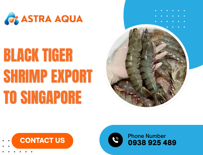 Black Tiger Shrimp Export to Singapore