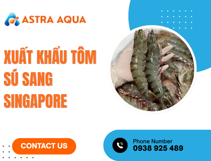 Xuất khẩu tôm sú sang Singapore