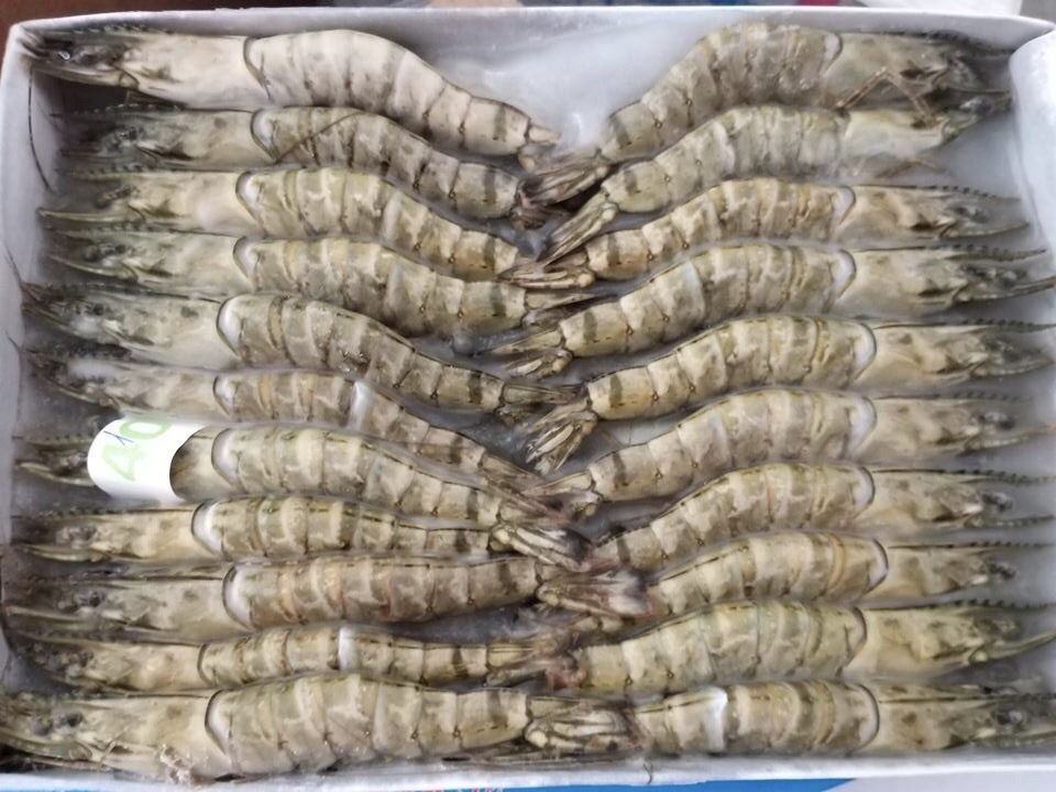 Tiêu chuẩn nhập khẩu tôm sú đen của Singapore