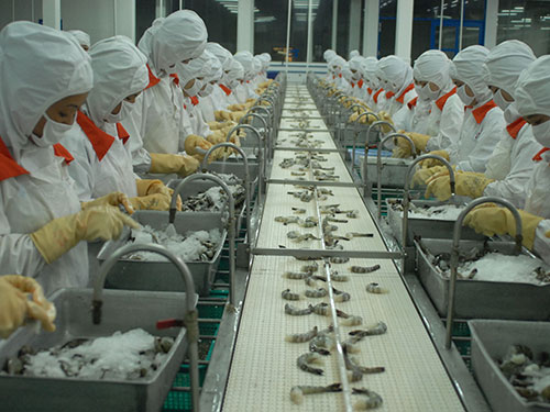 Tiêu chuẩn nhập khẩu tôm sú đen của Singapore