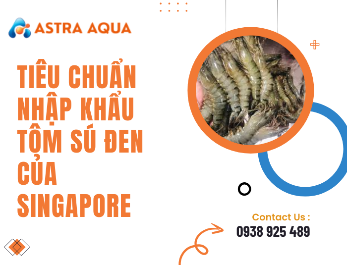 Tiêu chuẩn nhập khẩu tôm sú đen của Singapore