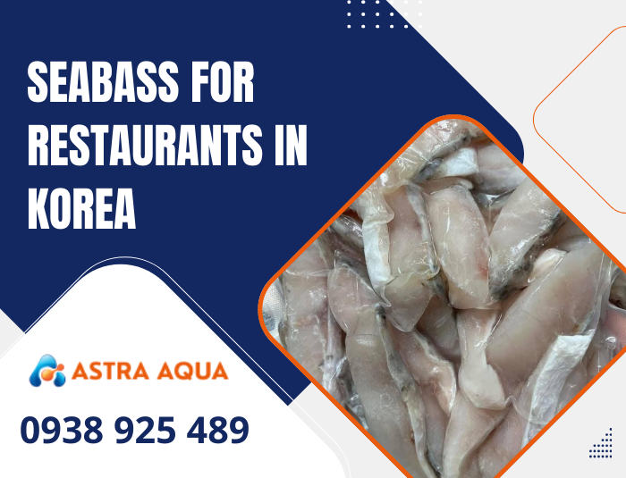 Seabass for Restaurants in Korea