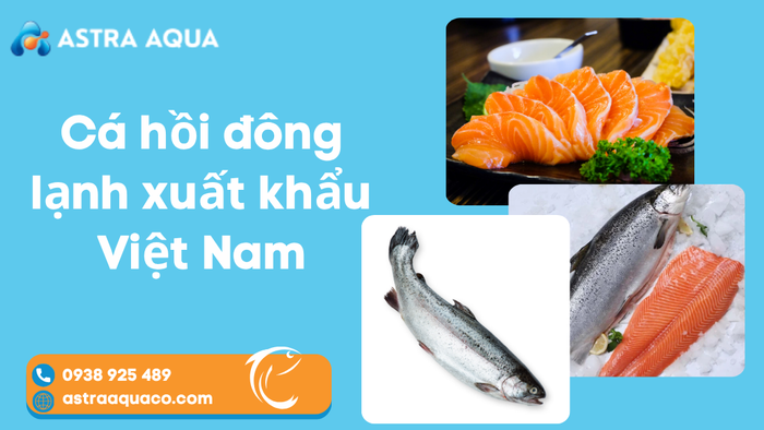 Cá Hồi Đông Lạnh Xuất Khẩu Việt Nam – Cơ Hội Vàng Cho Doanh Nghiệp Và Người Tiêu Dùng Toàn Cầu