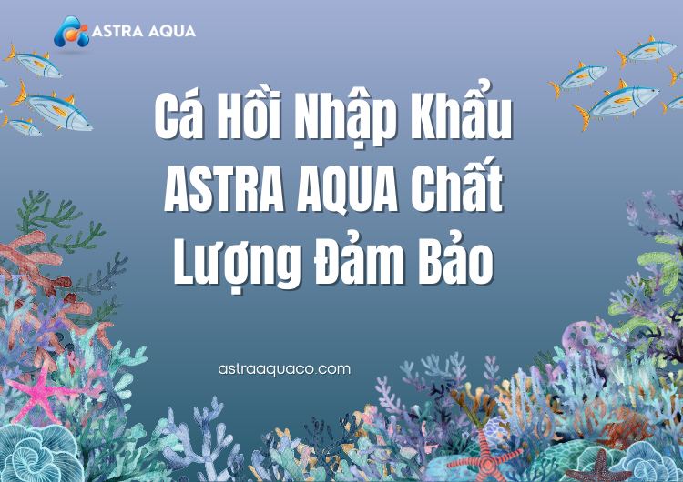 Cá Hồi Nhập Khẩu ASTRA AQUA Chất Lượng Đảm Bảo: Tiêu Chuẩn Vàng Trong Ngành Hải Sản tại Astra Aqua