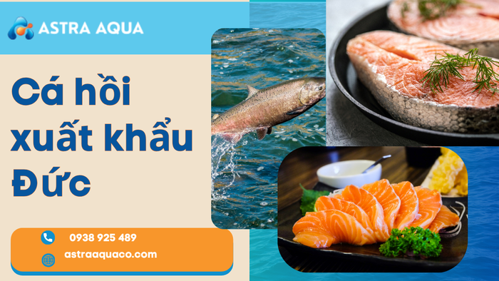 Cá Hồi Xuất Khẩu Đức – Nguồn Cung Cấp Chất Lượng Cao Từ Công Ty Astra Aqua