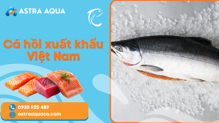 Cá Hồi Xuất Khẩu Việt Nam – Tiềm Năng Phát Triển Và Cơ Hội Chinh Phục Thị Trường Quốc Tế