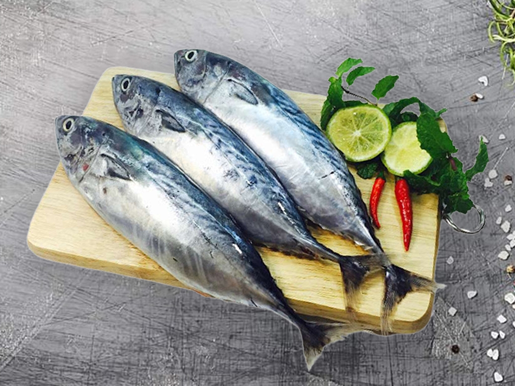 Cá ngừ biển loại sashimi Nhật Bản