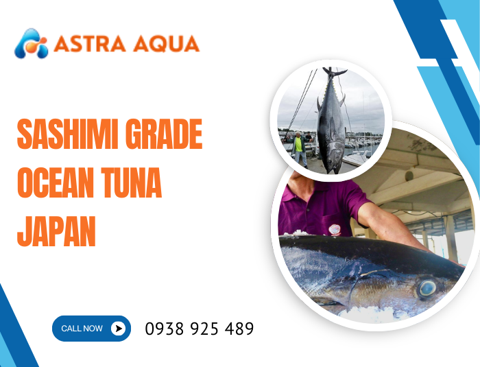 Japanese Sashimi-Grade Tuna