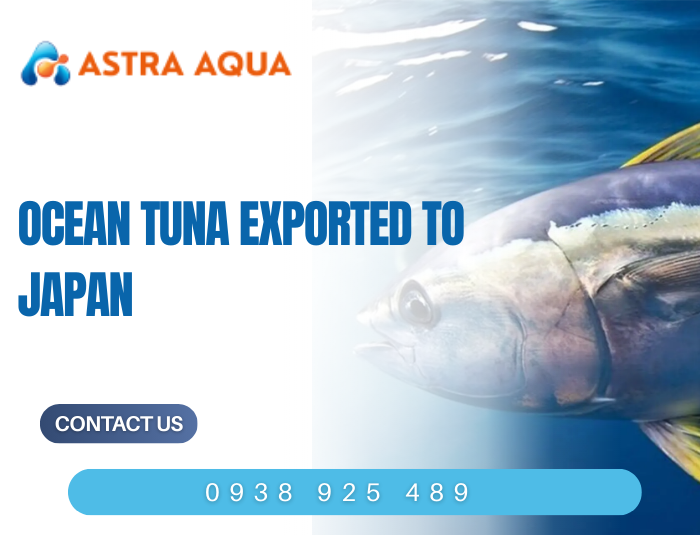 Tuna Export to Japan