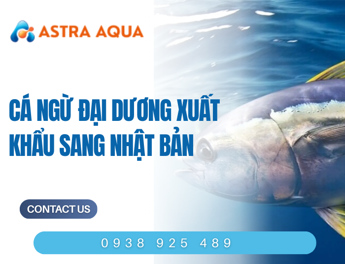 Cá ngừ đại dương xuất khẩu sang Nhật Bản