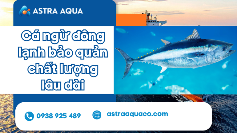 Cá Ngừ Đông Lạnh – Giải Pháp Hoàn Hảo Cho Bữa Ăn Dinh Dưỡng Và Tiện Lợi