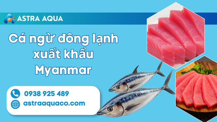 Cá Ngừ Đông Lạnh Xuất Khẩu Myanmar – Cơ Hội Vàng Cùng Công Ty Astra Aqua