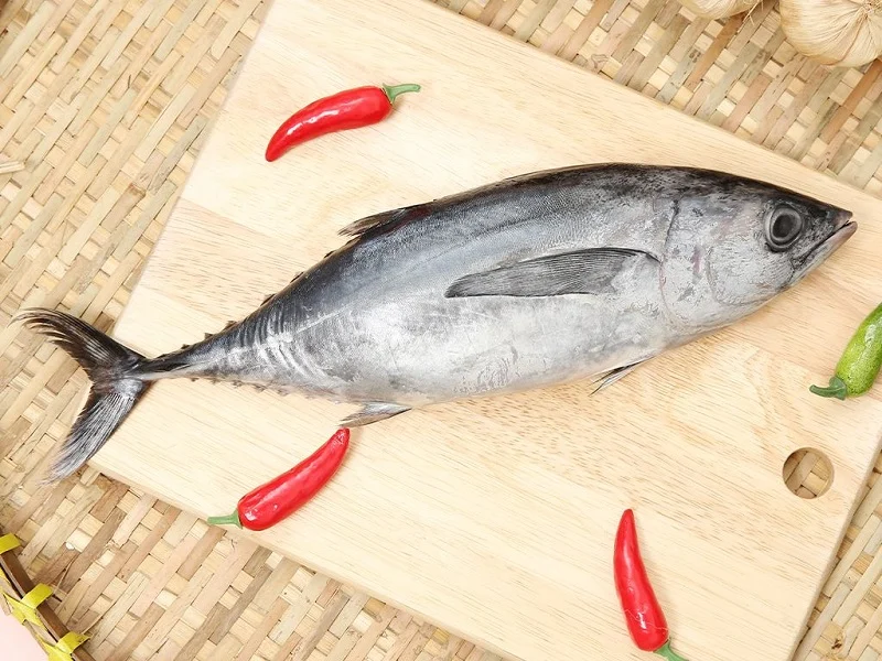 Tại Sao Doanh Nghiệp Myanmar Nên Chọn Cá Ngừ Từ Công Ty Astra Aqua?