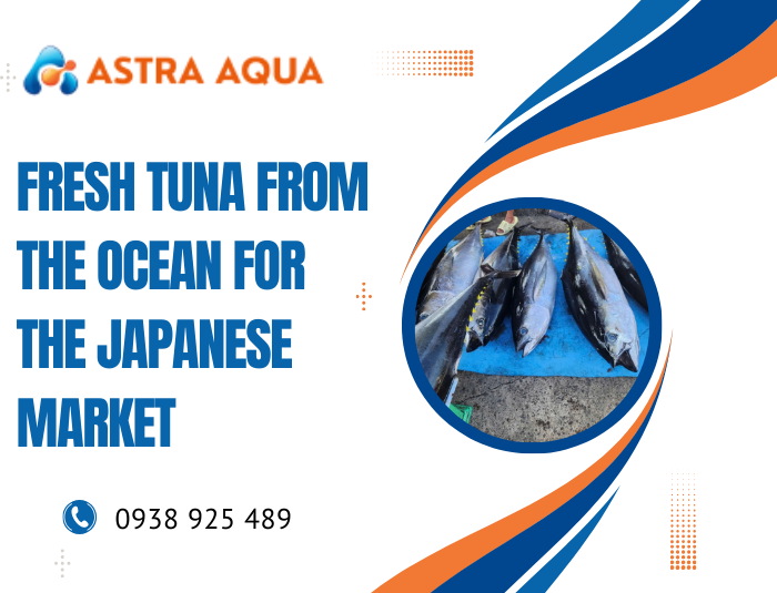 Fresh Tuna from the Ocean for the Japanese Market