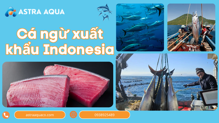Cá Ngừ Xuất Khẩu Indonesia – Nguồn Hải Sản Tươi Sống Chất Lượng Cao Cho Thị Trường Quốc Tế